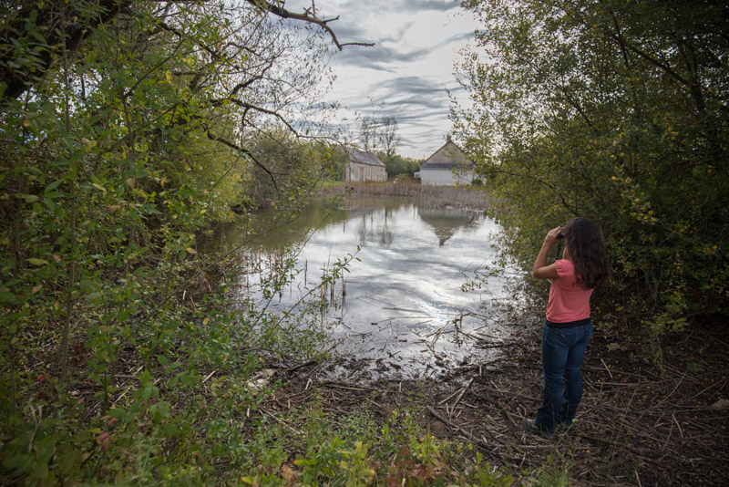 Balade à pied n°31 - De l'étang aux mares de Ratz, Méobecq - photo 4