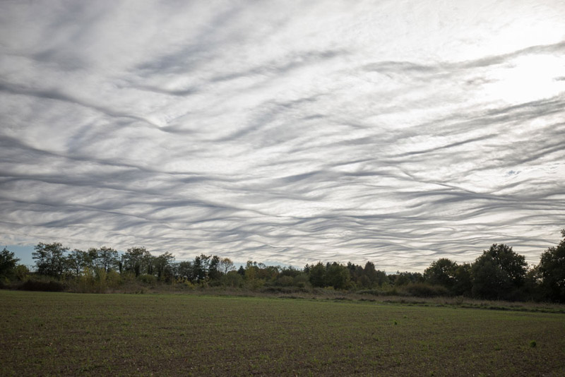 Balade à pied n°31 - De l'étang aux mares de Ratz, Méobecq