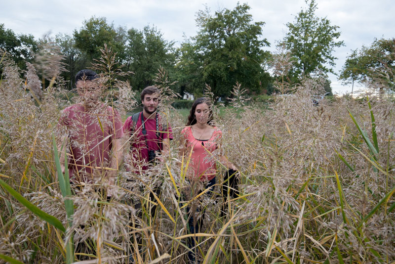Balade à pied n°34 - Aux portes de la Brenne, Luant - photo 5
