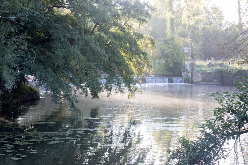 Balade à pied n°38 - Balade entre la Claise et le Chambon, Martizay - photo 3