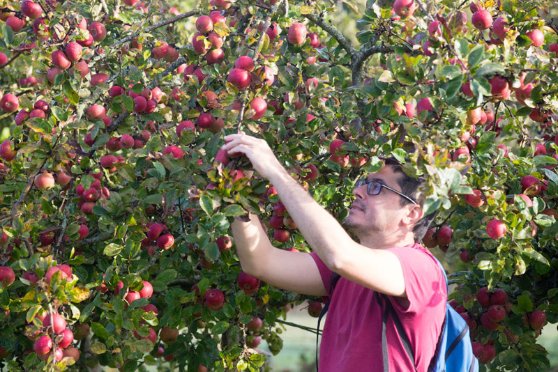 Balade à pied n°38 - Balade entre la Claise et le Chambon, Martizay - photo 4