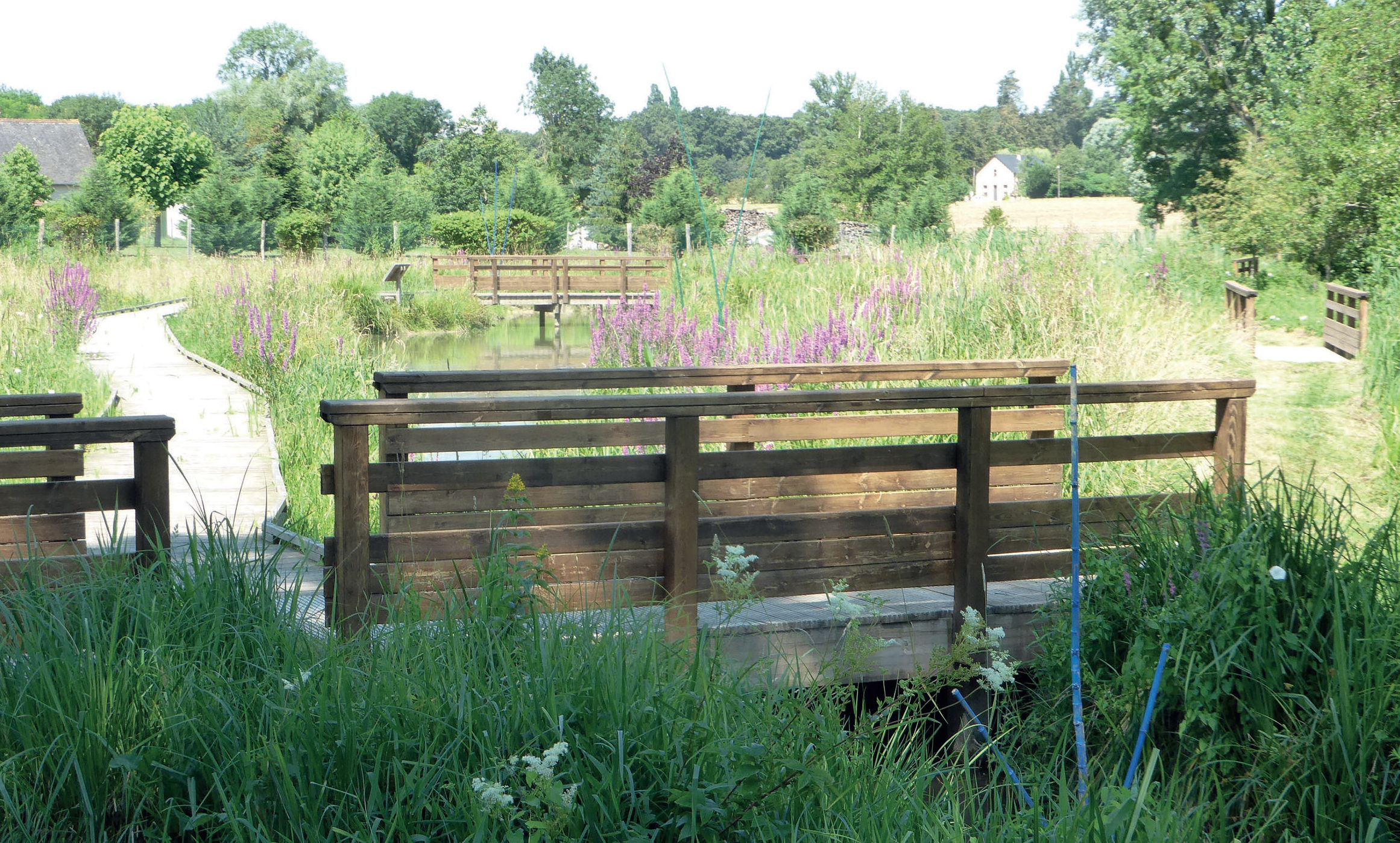 Sentier de la Rose, Quiers-sur-Bezonde - photo 2