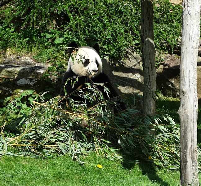 Camping couleurs du monde, Faverolles-sur-Cher - photo 4