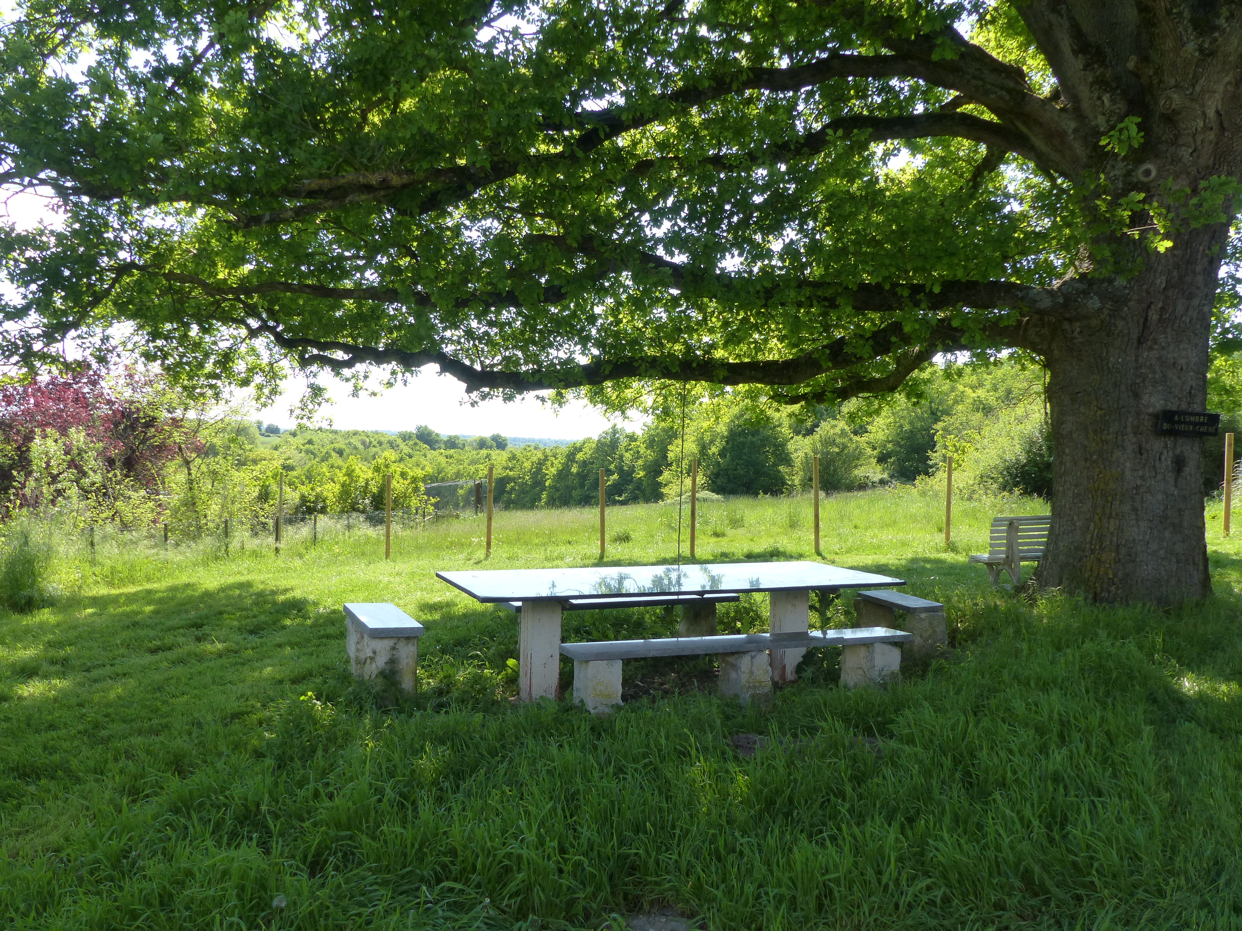 Les Pornays, Touchay - photo 5