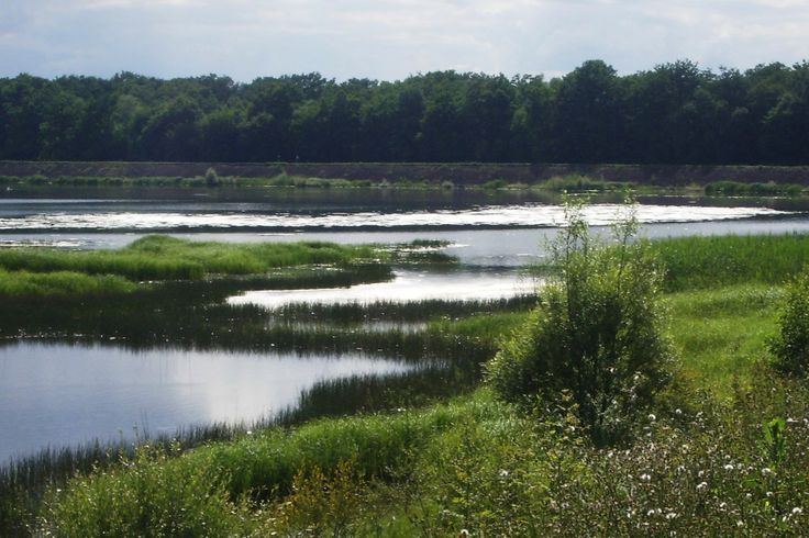 Circuit "Le canal et les étangs de Puisaye", Ouzouer-sur-Trézée