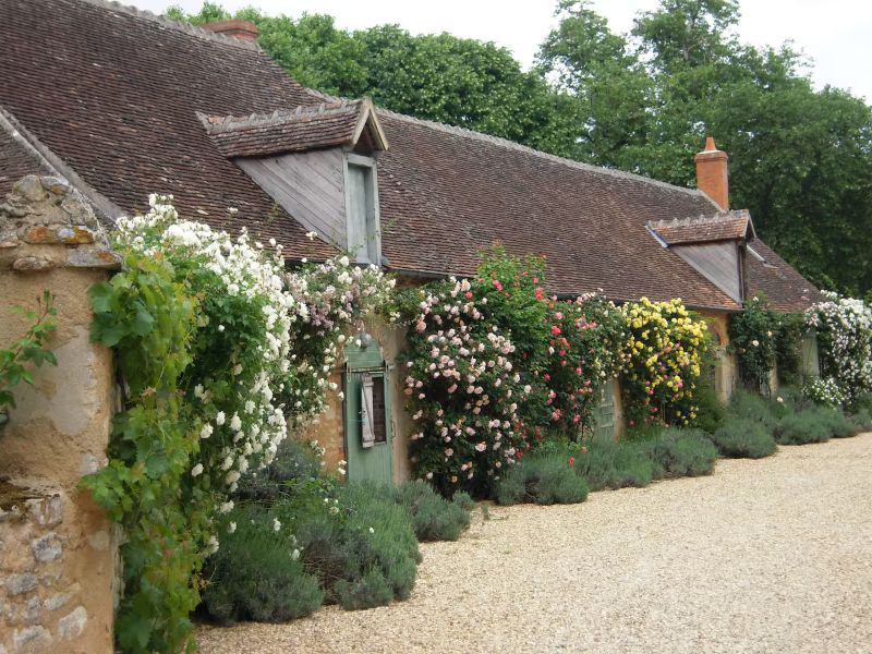 Château de charme au coeur du Berry, Luçay-le-Libre - photo 11