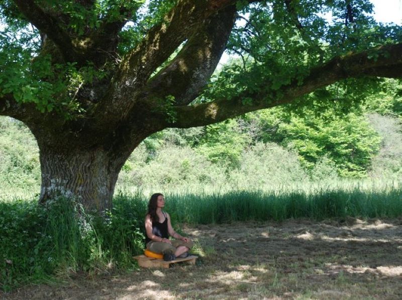 Les Chênes, Parnac - photo 2