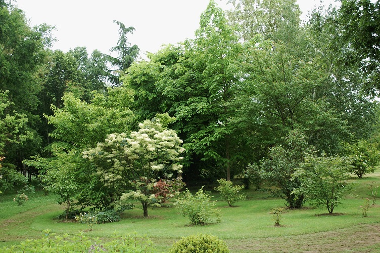 Arboretum Adeline©