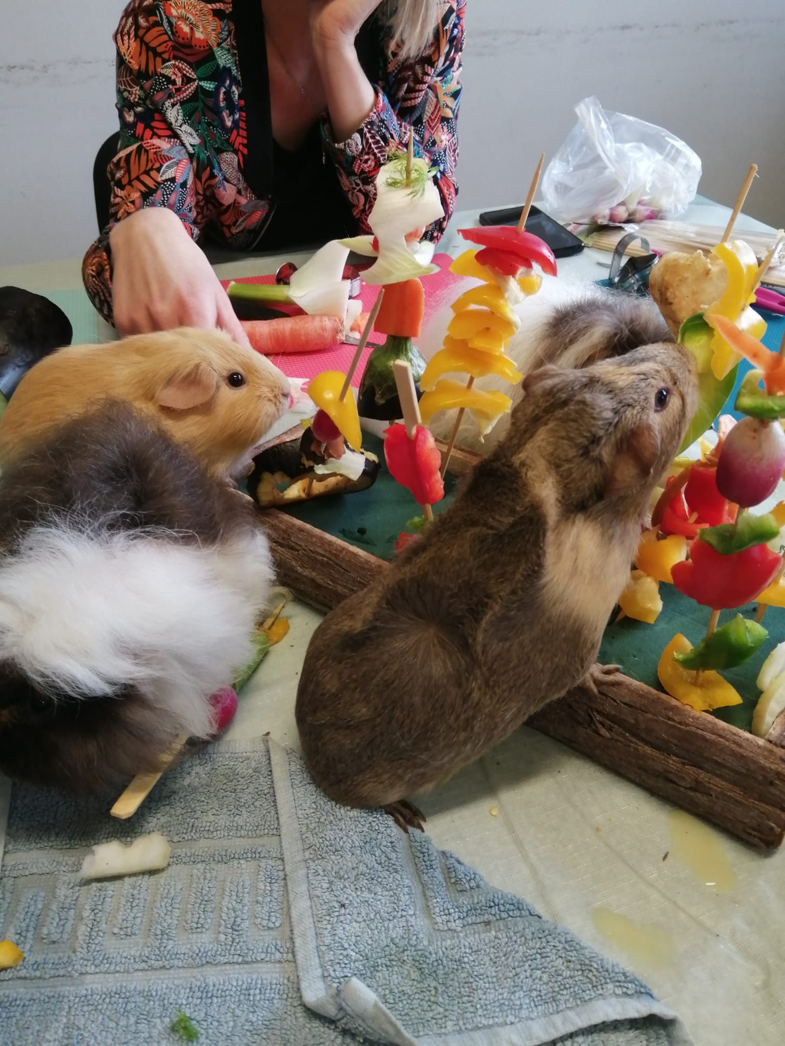 Bonnet d'âne et cerf-volant