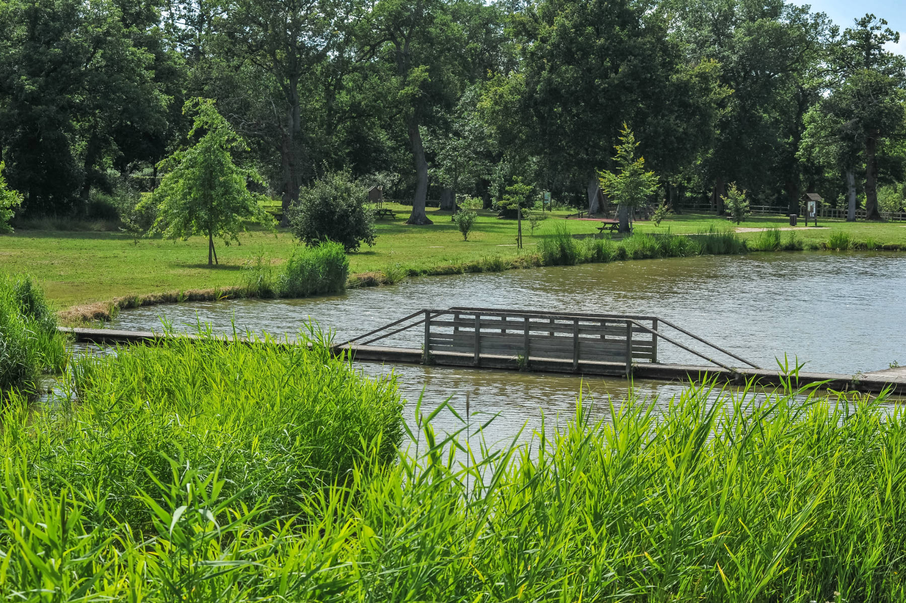 Aire du Champs des Bretons, Jouy-le-Potier - photo 3