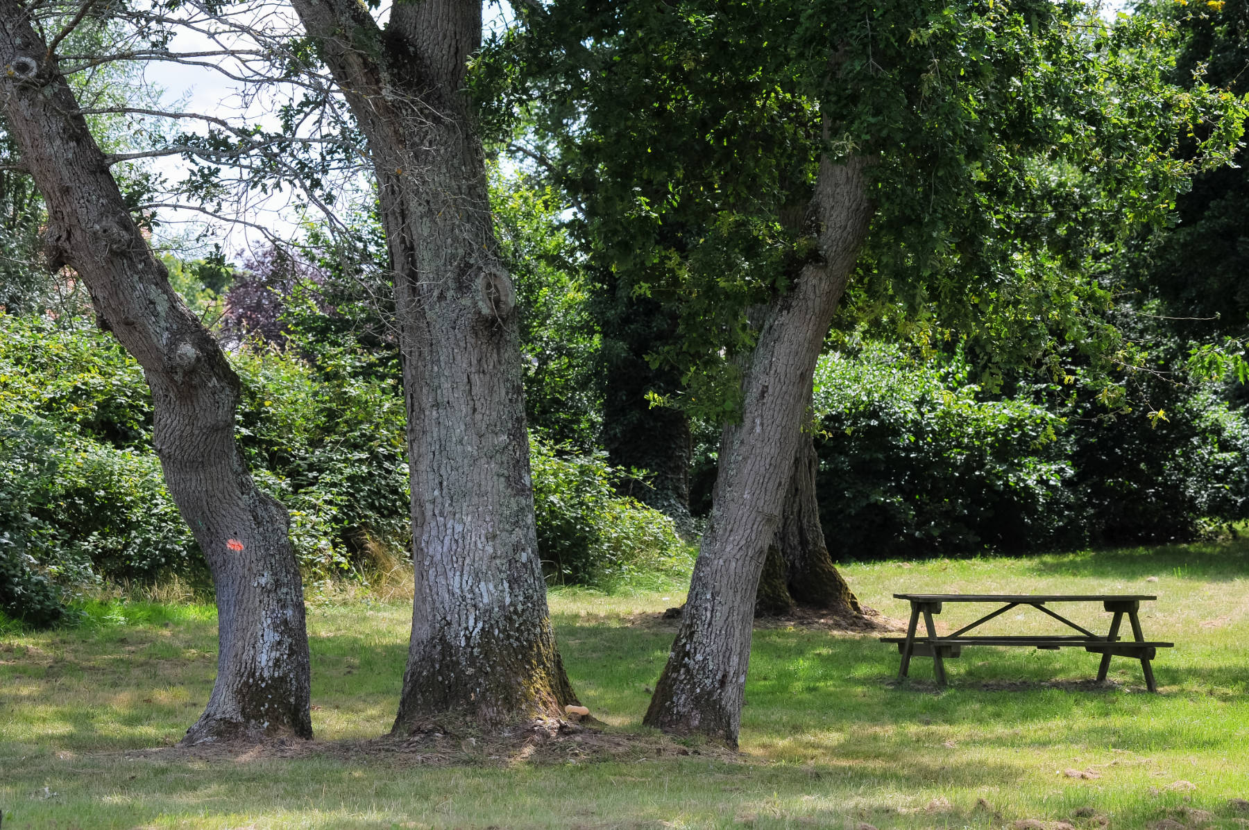 Aire du Champs des Bretons, Jouy-le-Potier - photo 5