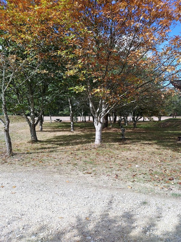 Maison du Braconnage, Chaon - photo 2