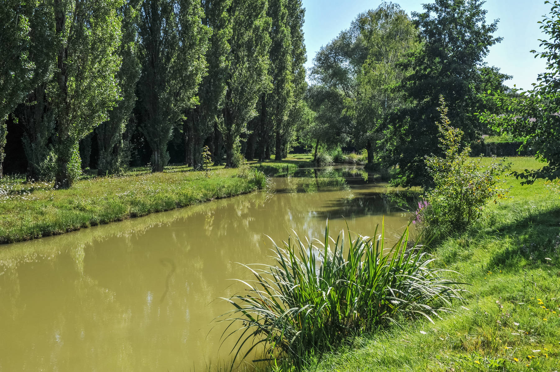 Aire de l'Étang route d'Olivet, Ardon - photo 3