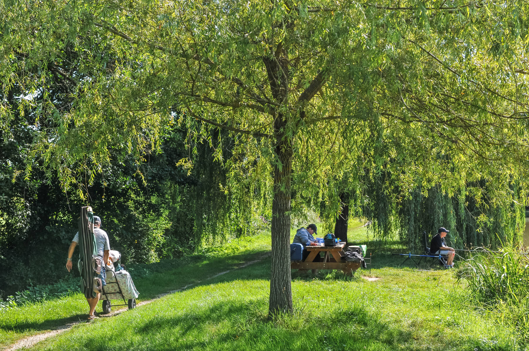 Aire de l'Étang route d'Olivet, Ardon - photo 4