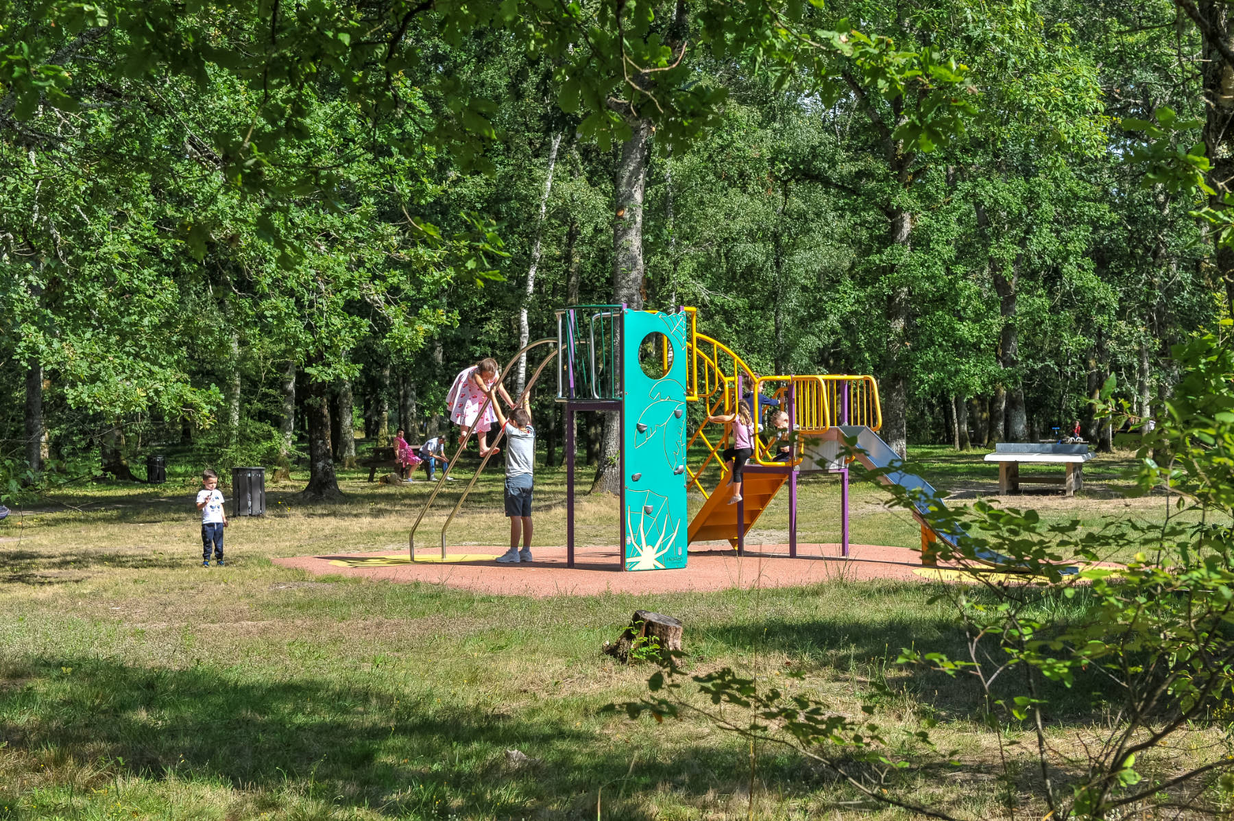 Aire des Bords du Cosson, La Ferté-Saint-Aubin - photo 2