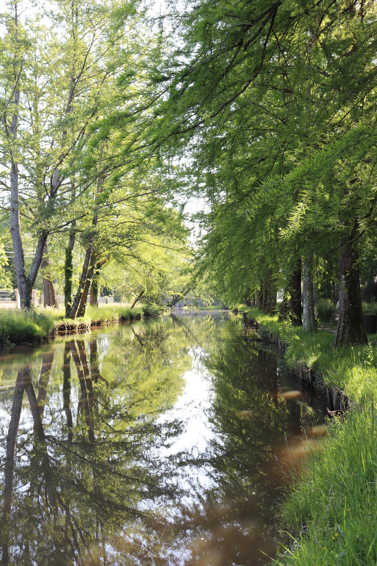 Aire des Bords du Cosson, La Ferté-Saint-Aubin