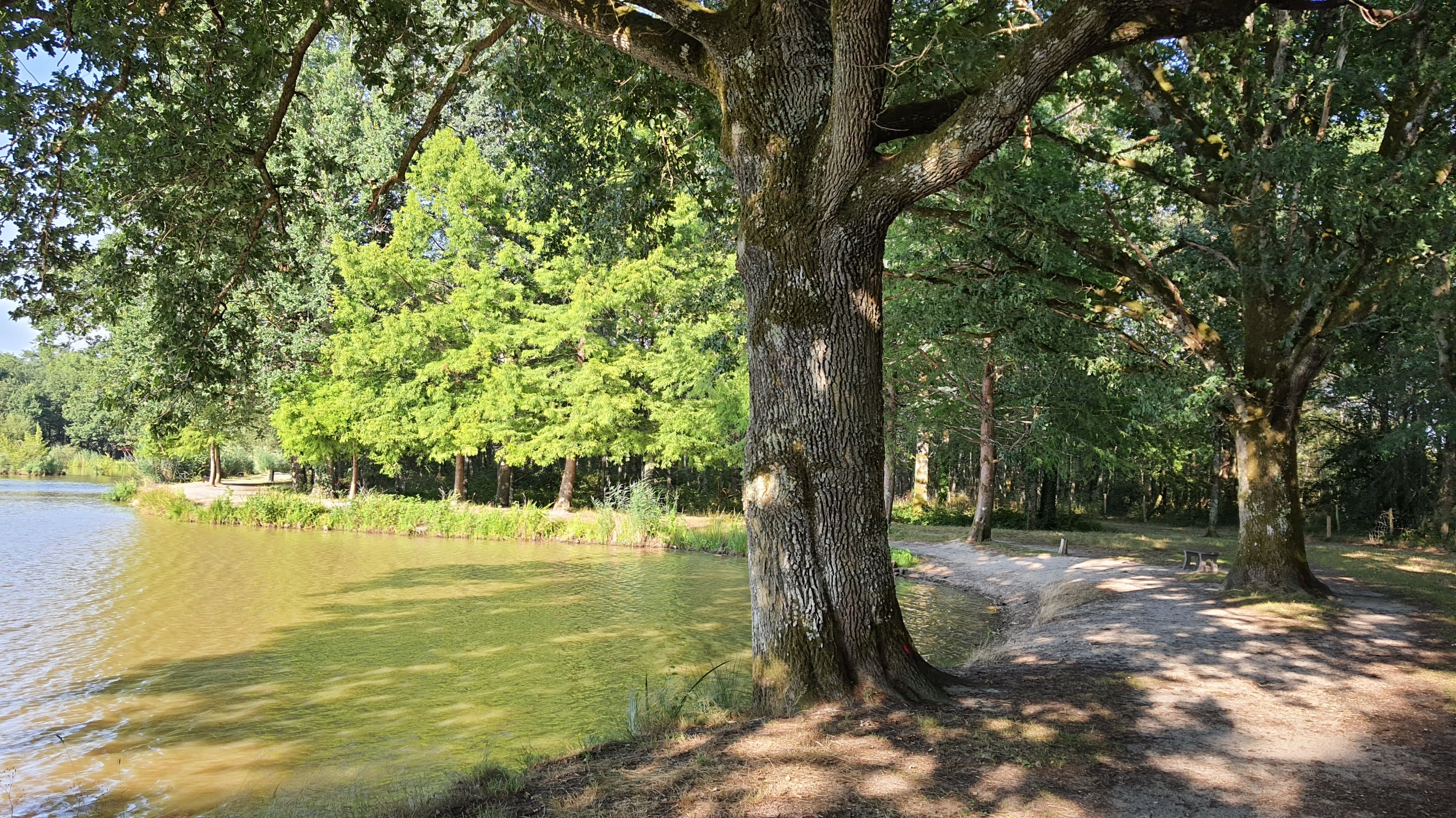 Aire de l'étang des Aisses - photo 3