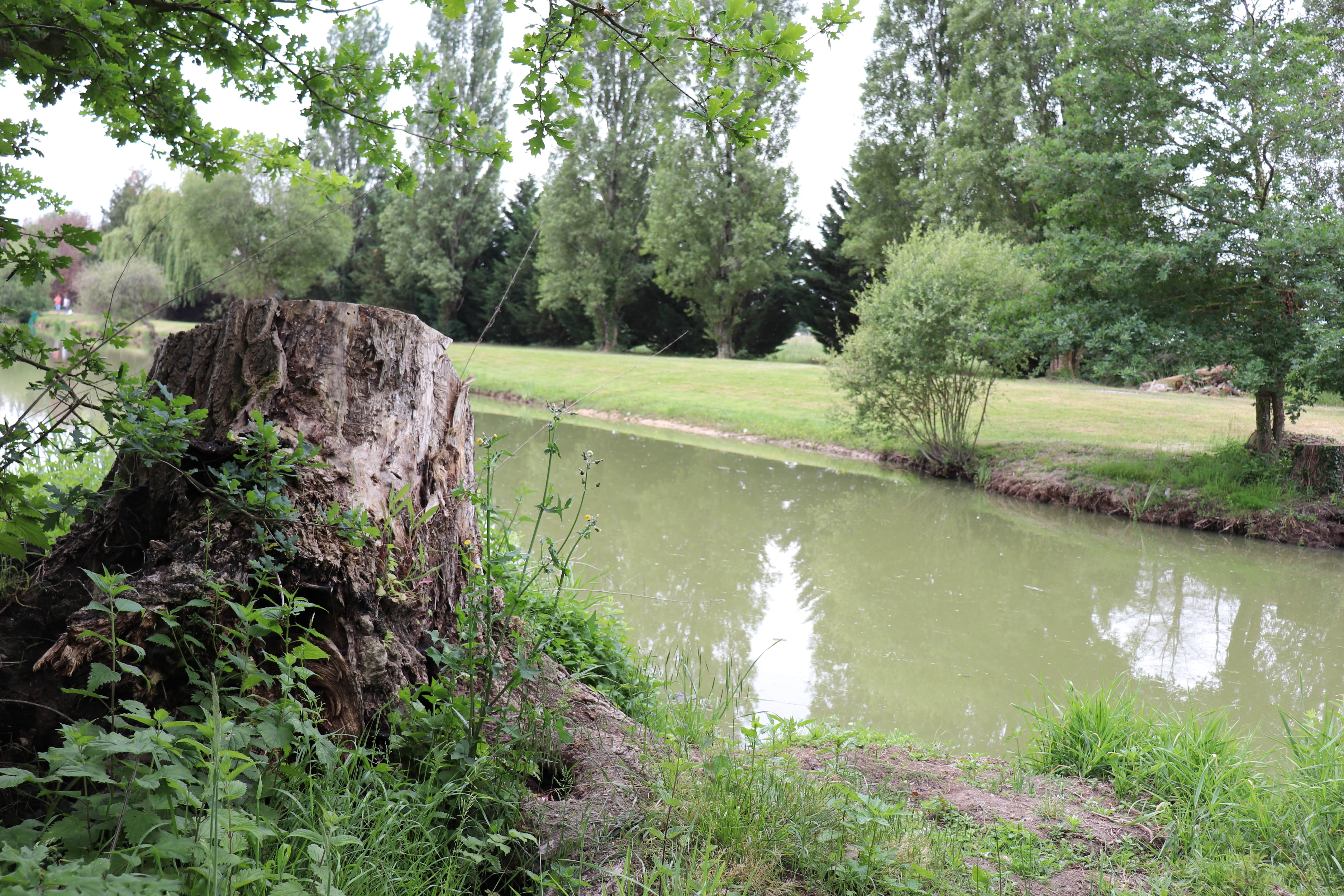 Aire de l'Étang de la Croix