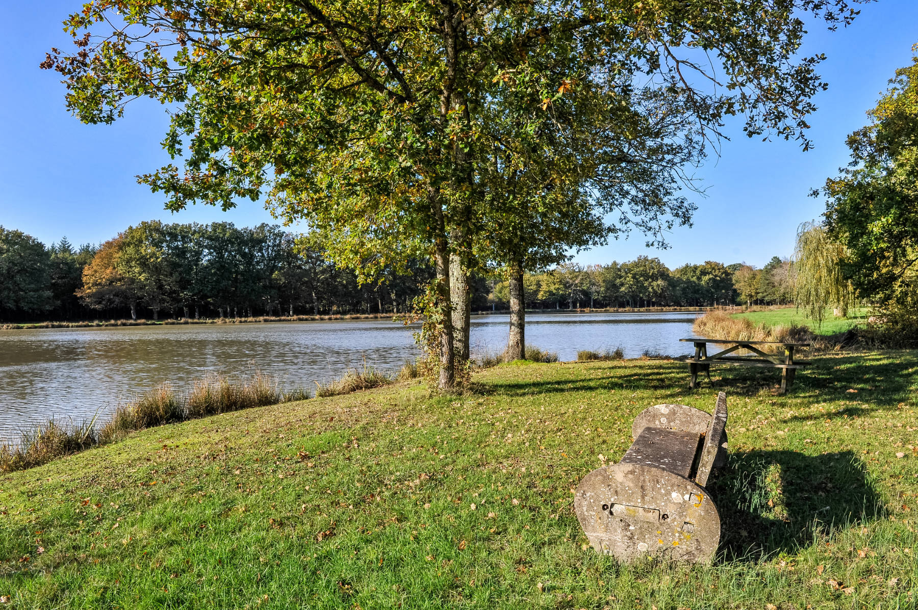 Aire de l'étang de Villechaume