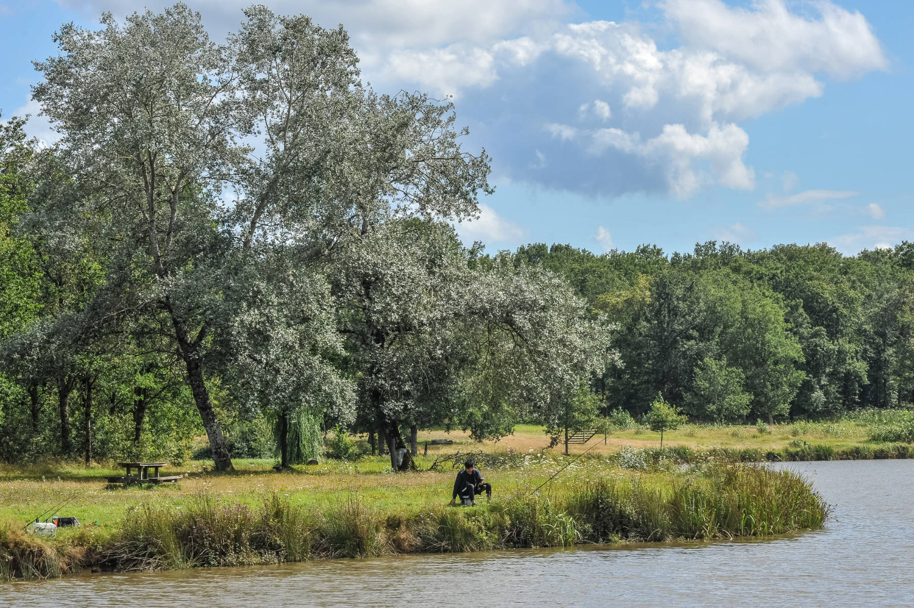 Aire de l'étang de Villechaume, Sennely