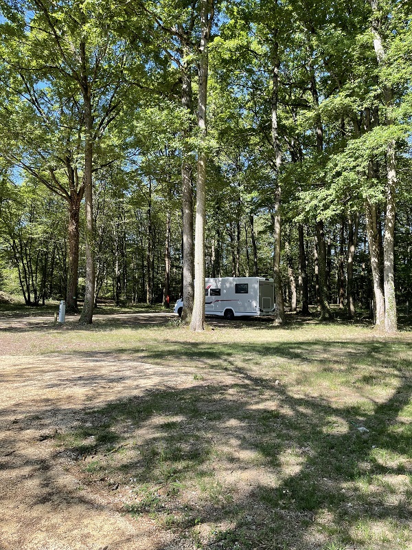 Les bois de Sepmes : Aire Camping-car Park, Sepmes