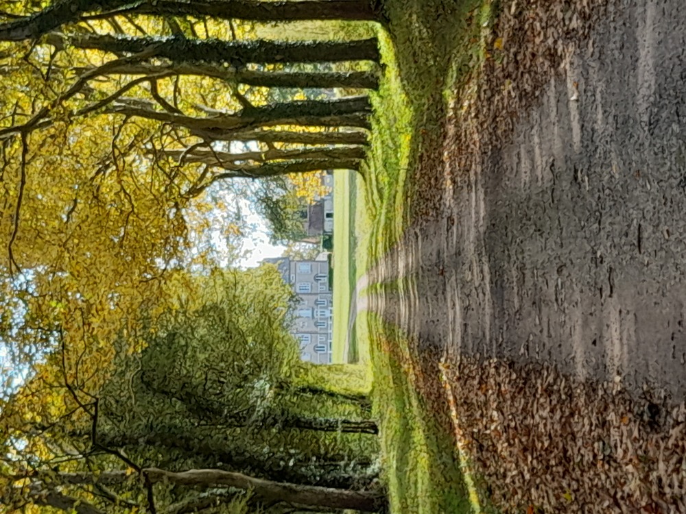 Chambres d'Hôtes Château de la Brosse