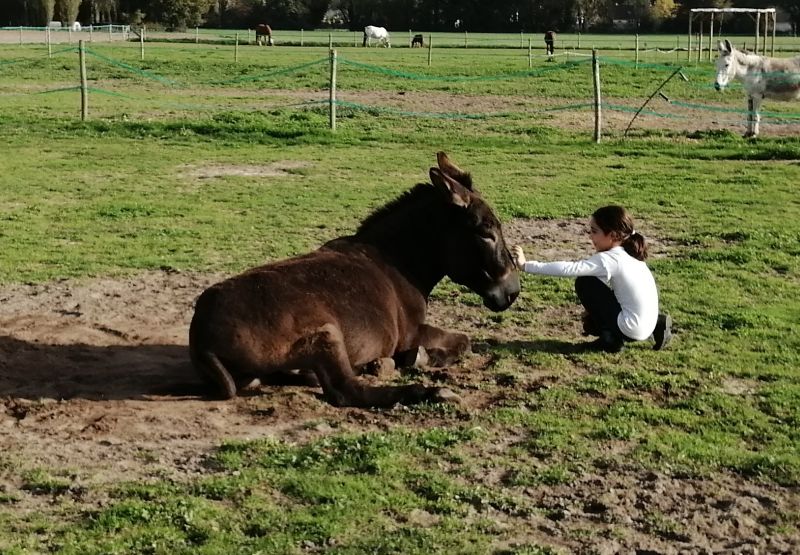 Atelier Petit fermier pour l'enfant différent