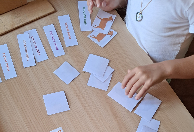 Animation de l'été "Productions locales, un lien avec le monde végétal"