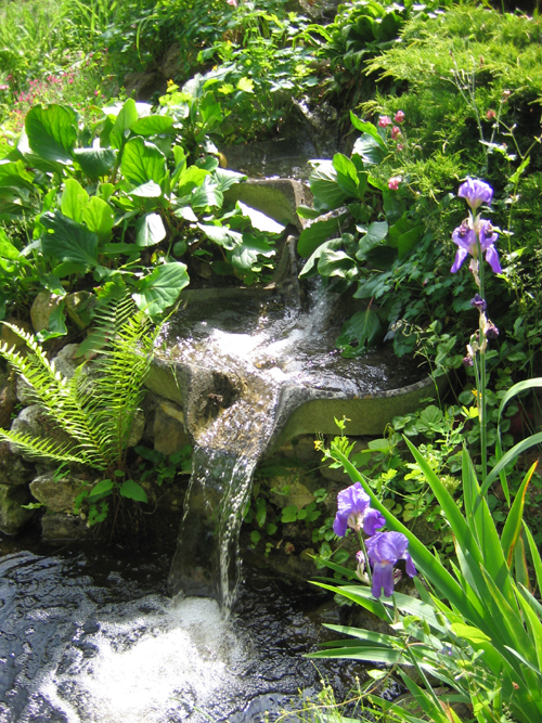 Les Jardins d’Eaux Vives, Saint-Laurent - photo 3