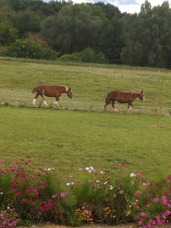 Au Pré Charmant, Pouzay - photo 5