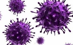 Conférence UTL « Les épidémies vues par les mathématiques »