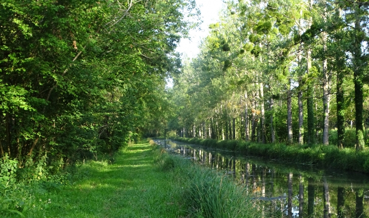 Ecobalade entre canal et prairies humides  France Centre-Val de Loire Cher Méry-sur-Cher 18100