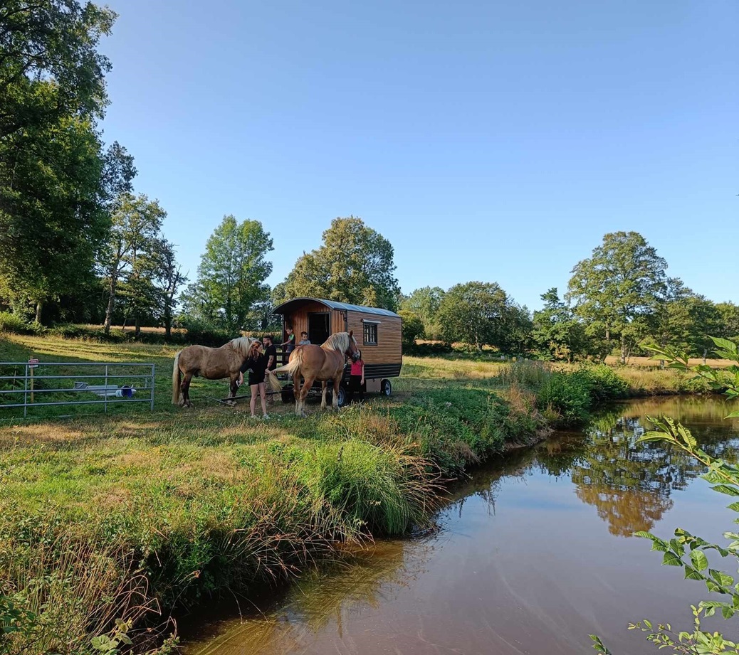 Séjour itinérant en roulotte avec 2 chevaux, Saint-Priest-la-Marche - photo 13