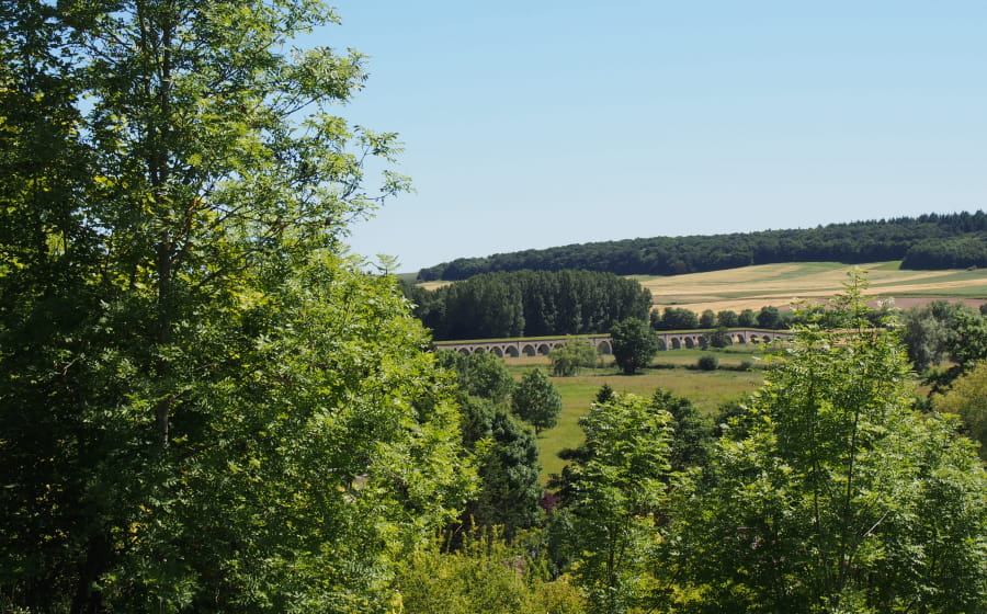 L'Odyssée Royale