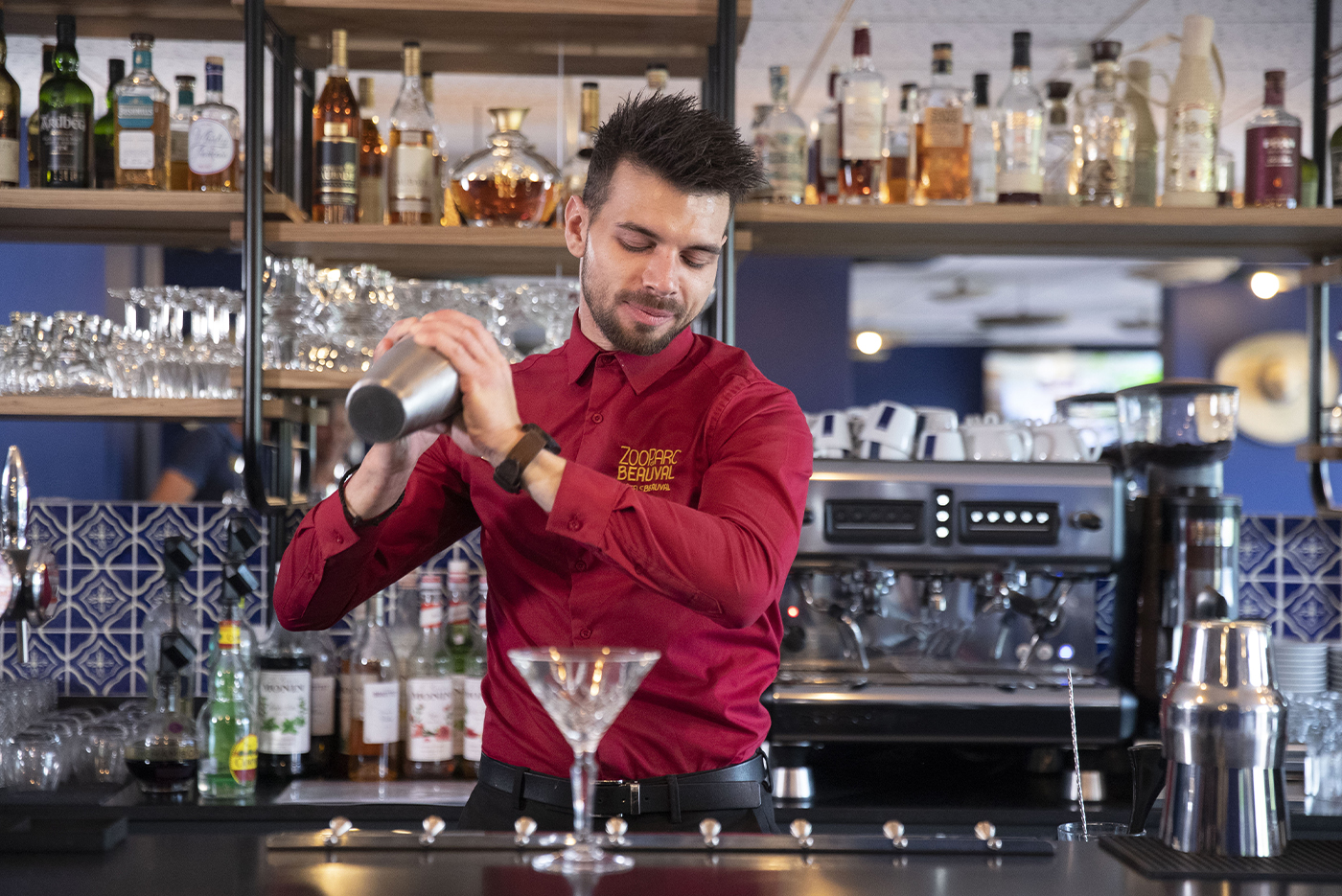 Les rivages de beauval, Saint-Aignan - photo 6