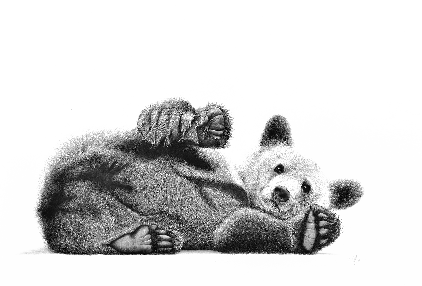 Exposition : Rêverie d'un safari immobile
