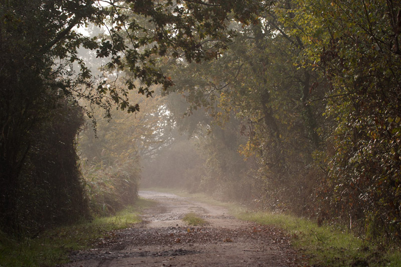Balade à pied n°3 - Voyage entre les étangs et le canal des cinq bondes, Lingé - photo 2