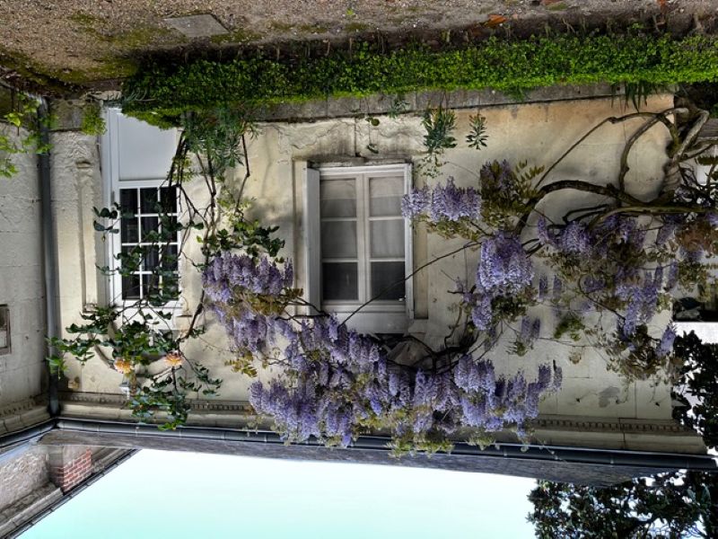 Le Belvédère, Bléré - photo 3