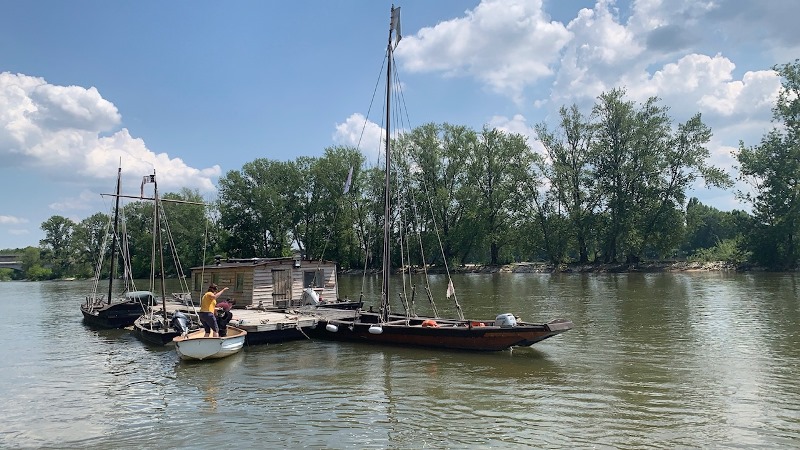 Balades et découvertes en bateau sur la Loire 30 min – Le Bièvre©