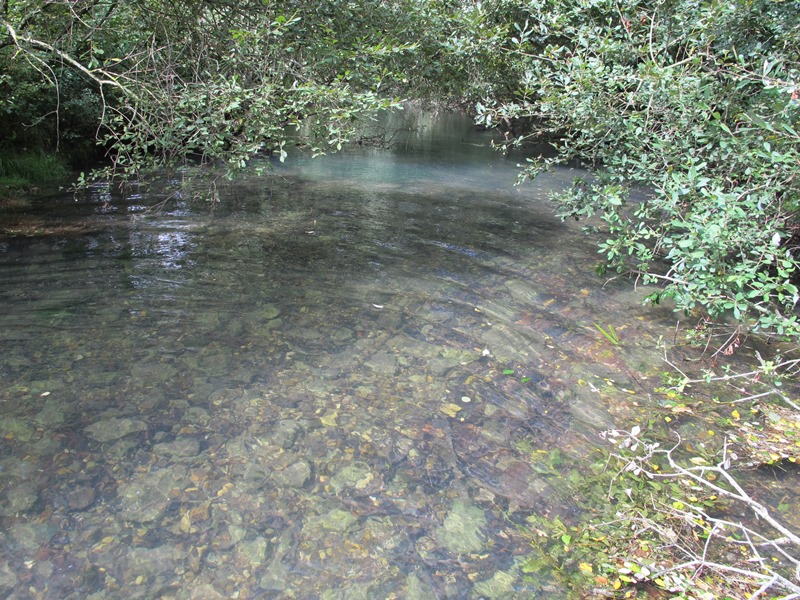 Les sources de la Théols