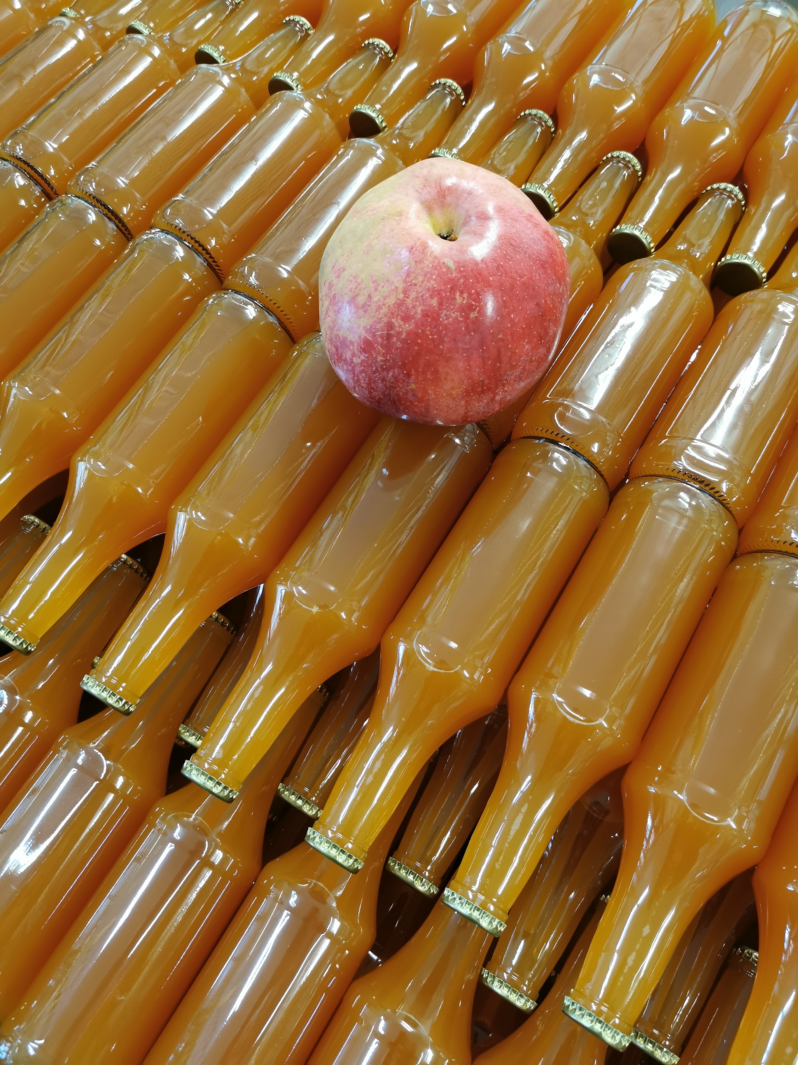 GASNIER PASCAL - LES VERGERS DU THEUIL