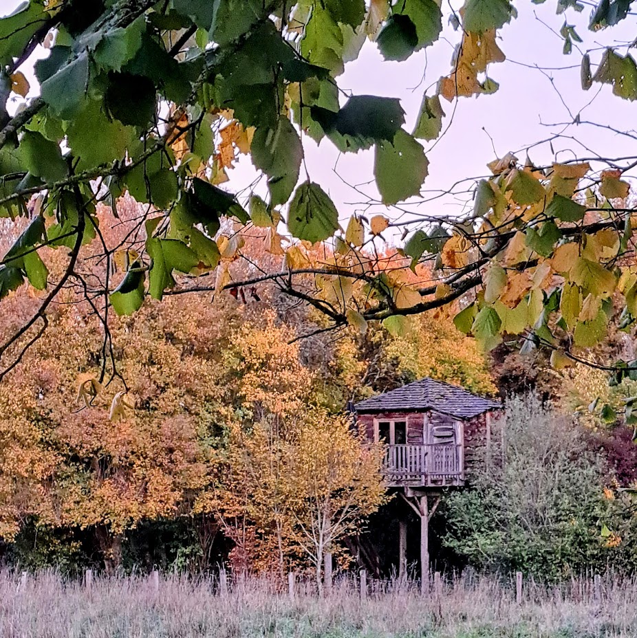 Family Ecolodge, Batilly-en-Puisaye - photo 9