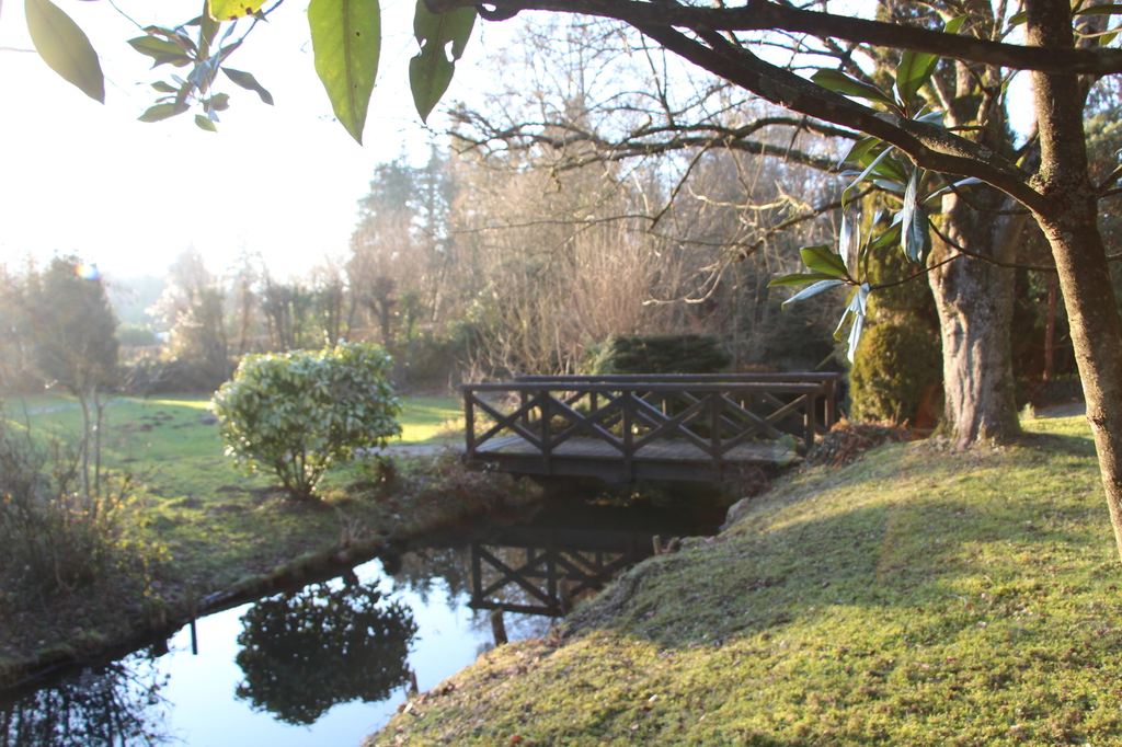 Chambre d'hôtes La Rozelière, Rozoy-le-Vieil - photo 14