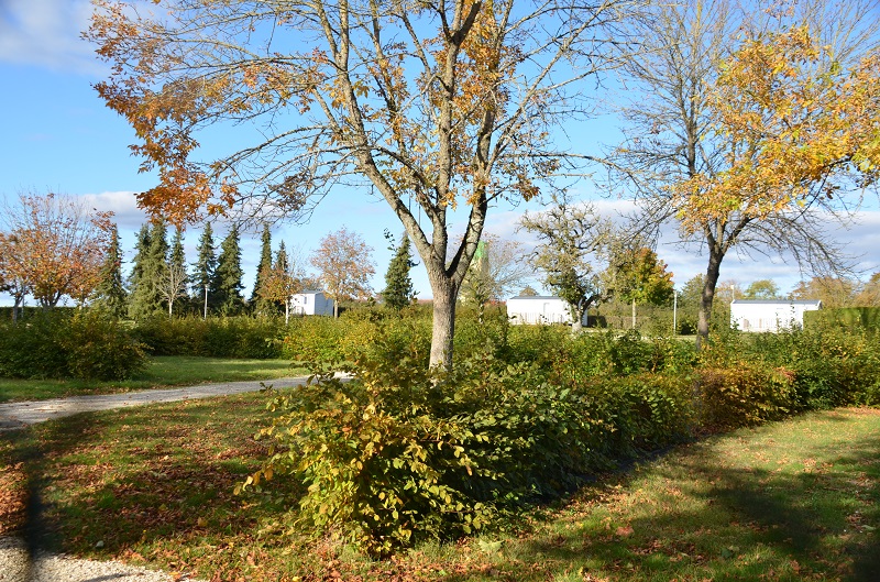 Camping municipal du Pont de Pierre