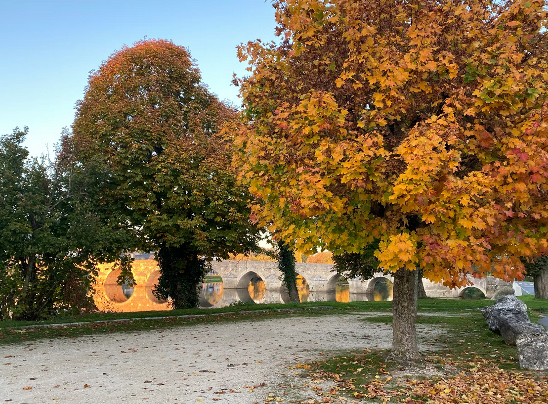 MON CHTI STUDIO VERT, Montrichard Val de Cher - photo 8