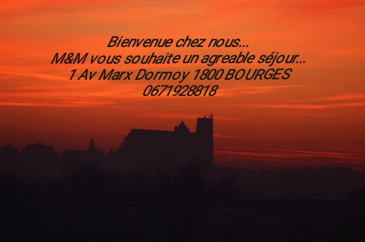 La Maison des Marais, Bourges - photo 5