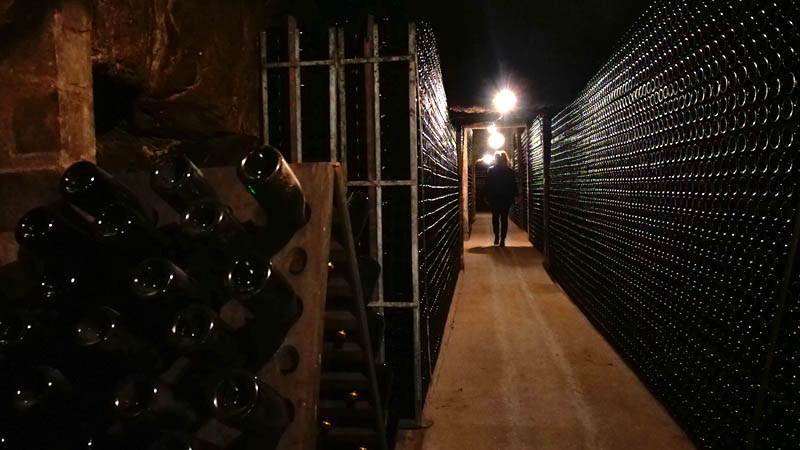 Domaine Vigneau-Chevreau — photo 3