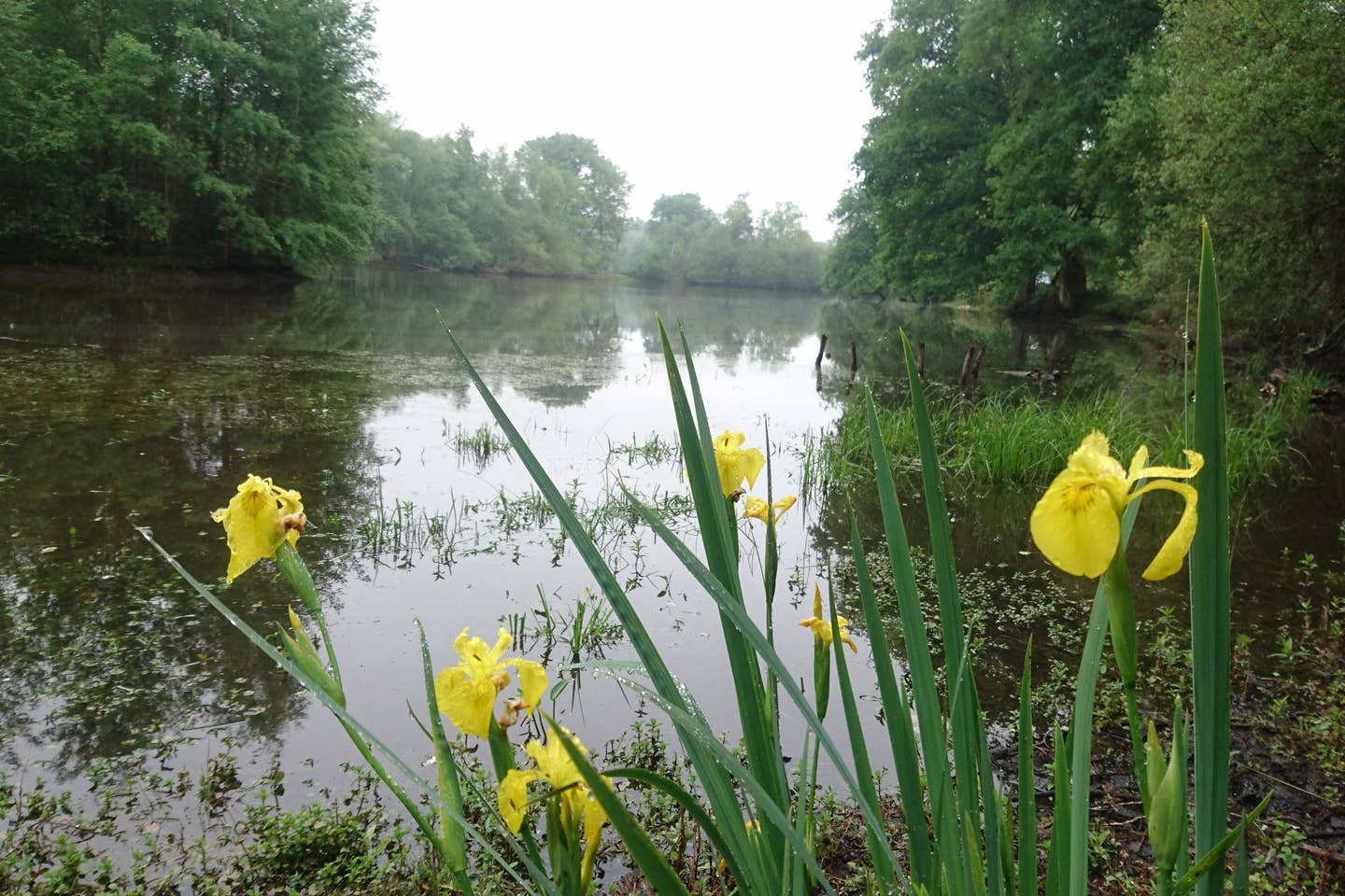 La Maison du Chêne, Brinon-sur-Sauldre - photo 8