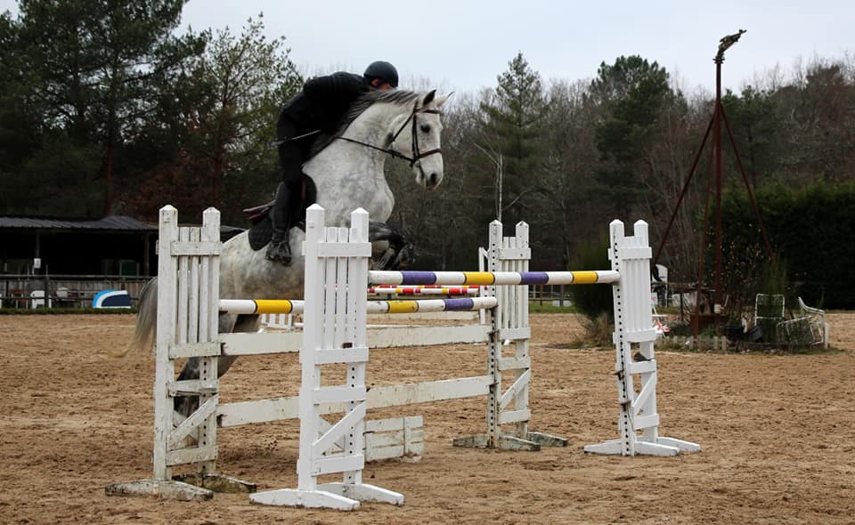 Les Ecuries Thierry Moreau