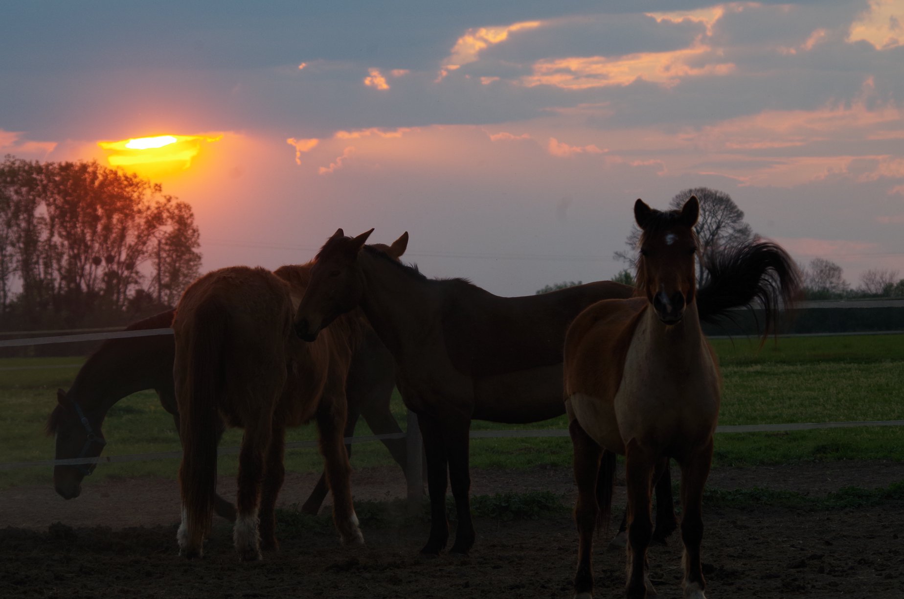 Centre équestre de Marcilly